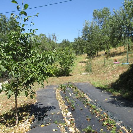 Vale de Pradinhos Bungalow "A Choupana" - Quinta Da Carvoica - Vale Pradinhos المظهر الخارجي الصورة