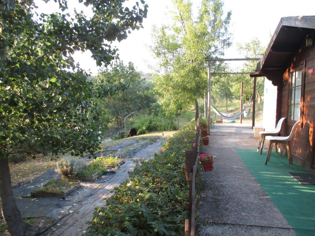 Vale de Pradinhos Bungalow "A Choupana" - Quinta Da Carvoica - Vale Pradinhos المظهر الخارجي الصورة