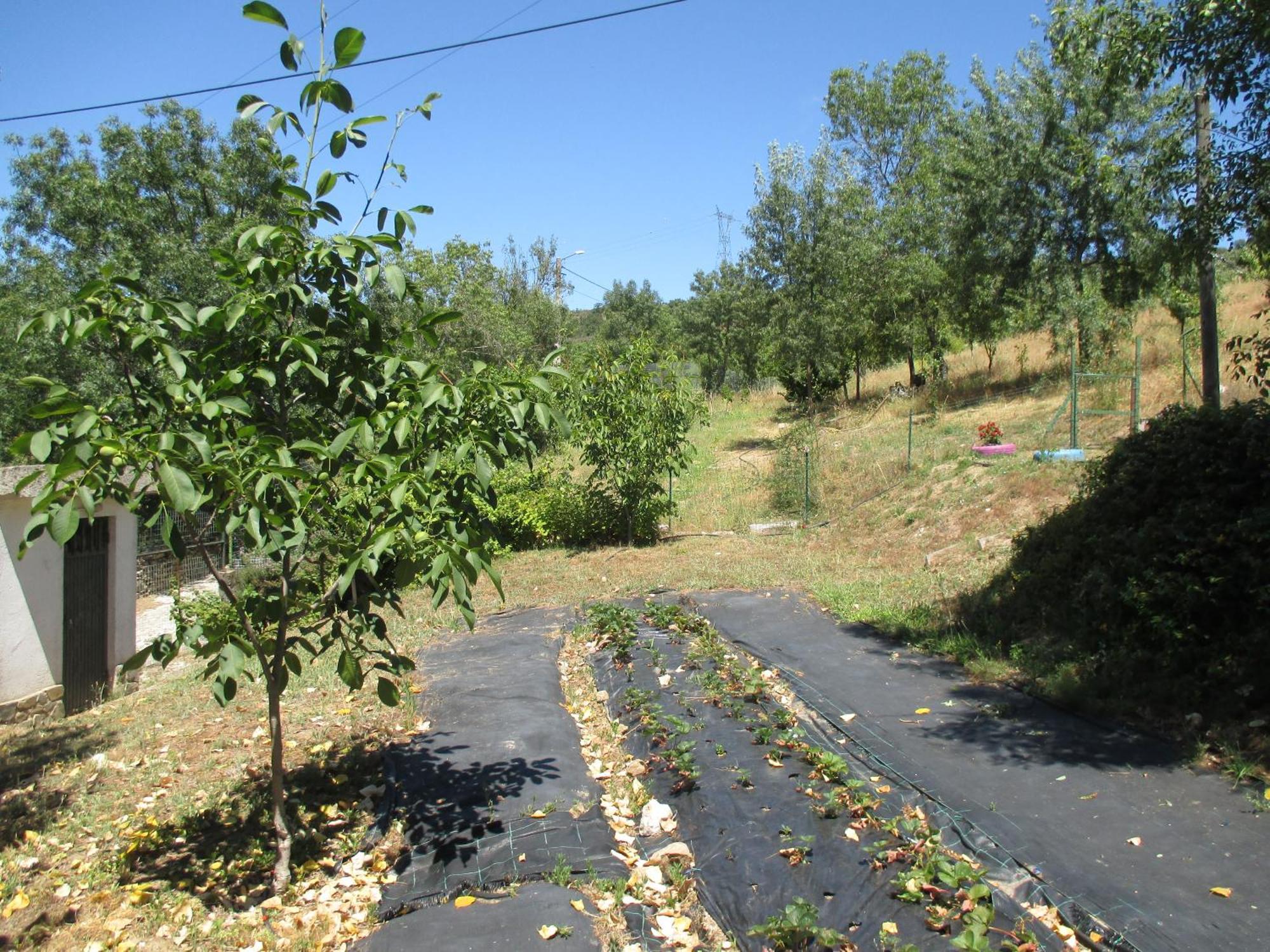 Vale de Pradinhos Bungalow "A Choupana" - Quinta Da Carvoica - Vale Pradinhos المظهر الخارجي الصورة