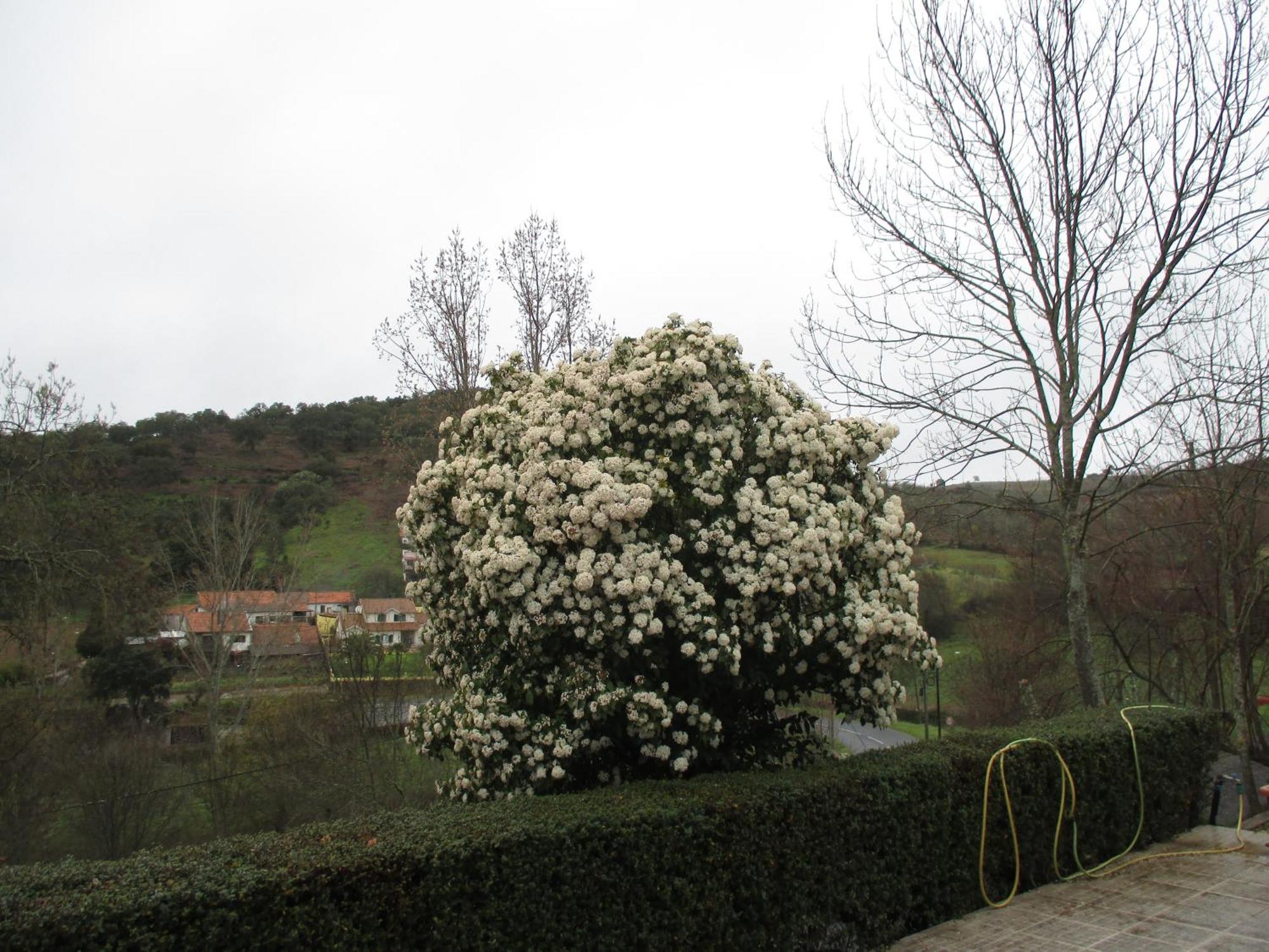 Vale de Pradinhos Bungalow "A Choupana" - Quinta Da Carvoica - Vale Pradinhos المظهر الخارجي الصورة