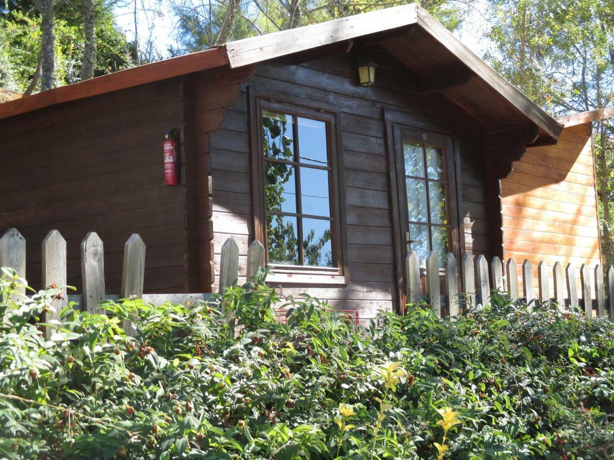 Vale de Pradinhos Bungalow "A Choupana" - Quinta Da Carvoica - Vale Pradinhos المظهر الخارجي الصورة
